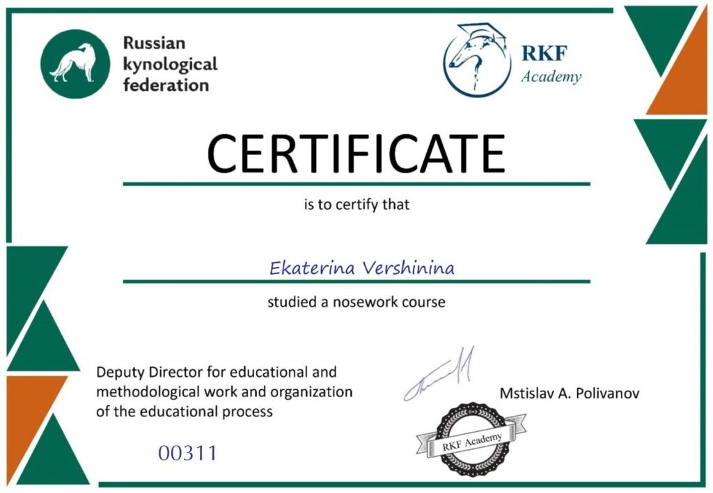 Сертификат по Ноузворк — K8 Canine Academy